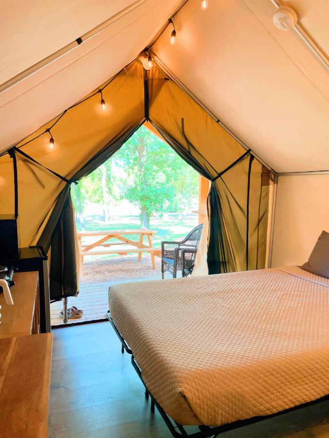 Hotel Son'S Rio Cibolo Glamping Cabin #G Brand New Creek-Front Cabins With So Many Amenities! Marion Exteriér fotografie